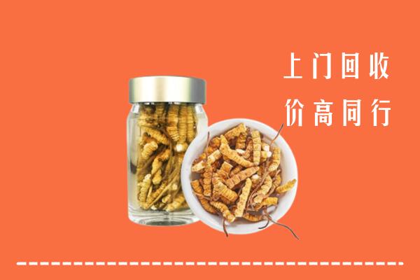 海北州回收冬虫夏草